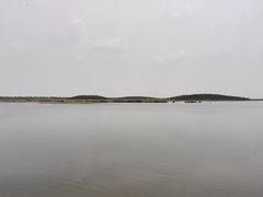 -南大港湿地风景区