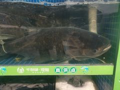 -好灶头妈妈菜(珍珠半岛店)