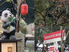 -阿巧茶庄