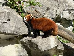 -黔灵山公园