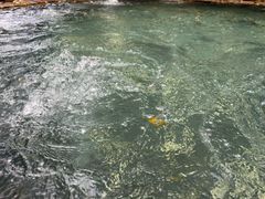 -昆明柏联SPA温泉