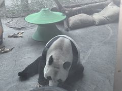 -石家庄市动物园