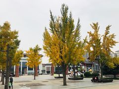 -大雁塔北广场音乐喷泉