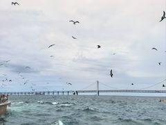 -星海广场