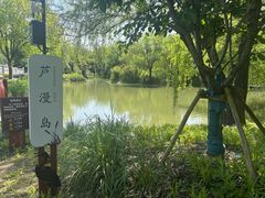 -长兴太湖图影湿地文化园