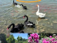 -河北省园博园
