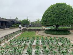 -张闻天故居
