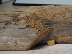 -宁波市保国寺古建筑博物馆