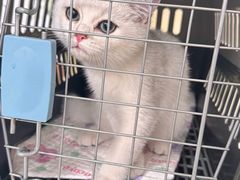 -宠颐生宠物医院·骨外科·犬猫全科诊疗中心(池州店)
