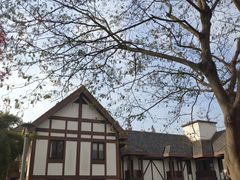 -太阳岛度假酒店