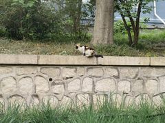 -元大都城垣遗址公园