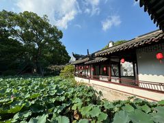 -上海醉白池公园