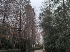 -狼山风景名胜区