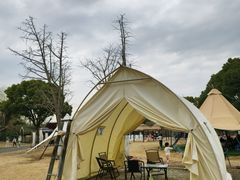 -梁鸿国家湿地公园