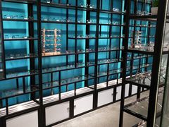 -Trend1881视光·蔡司视觉(领展广场店)