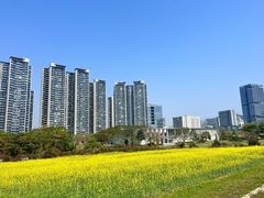 -光明小镇欢乐田园