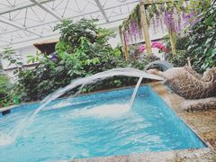 -天源吉布世温泉水乐园