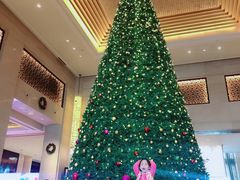 -成都保利公园皇冠假日酒店(熊猫基地店)