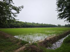 -广富林郊野公园