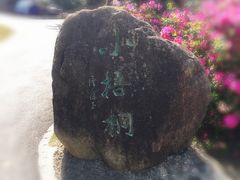 -梧桐山风景名胜区