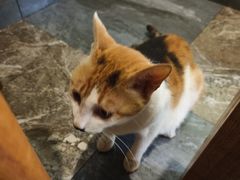 -晓马鸭店(新芜路店)