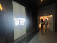 -卢米埃影城(金鹰新街口杜比全景声激光店)