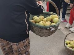 -韩士良采摘园