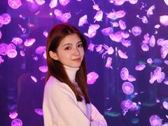 -顺德南宏海立方海洋公园