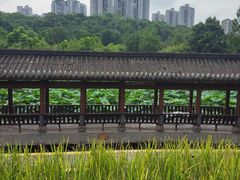 -龙头寺公园