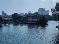 -荔湾湖公园