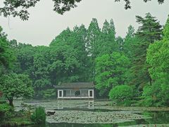 -杭州植物园