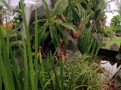 -杭州平安悦坊 PAFC LIVING
