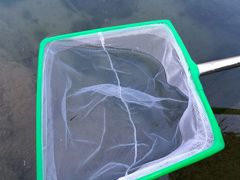 -碓臼峪自然风景区