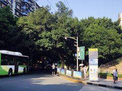 -铁山坪森林公园