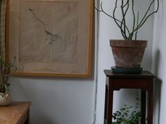 -知亘茶食