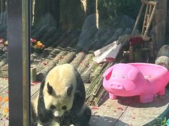 -大连森林动物园