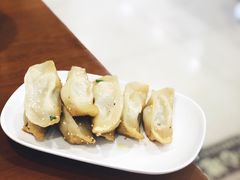 鲜肉锅贴-小姜锅贴(凤凰街店)