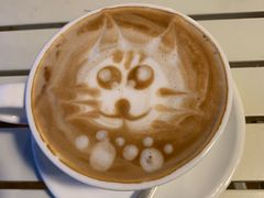 -Cappucimeow猫咪咖啡馆(韦伯时代店)