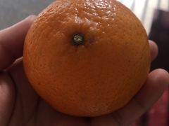 -鲜力达果品批发直销(青山店)