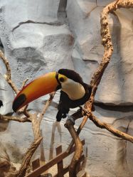 -Zoolung Zoolung动物主题公园(海信广场店)