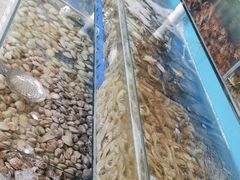 -港畔赶海蒸汽海鲜烧烤自助(仙螺岛店)