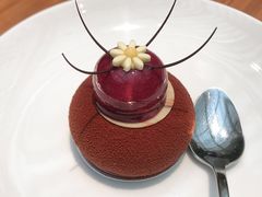 黑加仑巧克力慕斯-北京望京凯悦酒店The Lounge大堂酒廊