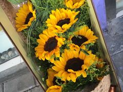 -FEI FEI FLOWER鲜花店·气球派对·宝宝宴布置(虹口德必运动Loft店)