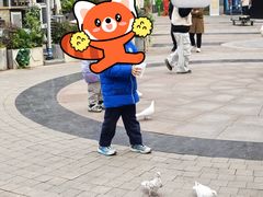 -中粮·祥云小镇