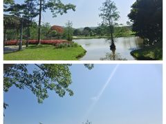 -中国科学院西双版纳热带植物园