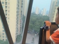 -柒园·三十年创意杭帮菜(龙湖滨江天街店)