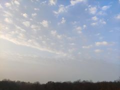 -南京东郊国宾馆