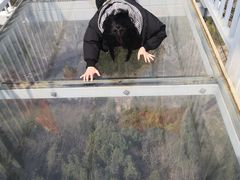 -皇藏峪国家森林公园