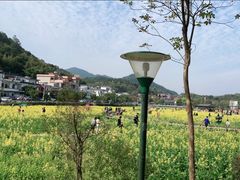 -红山村