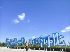 -南大港湿地风景区